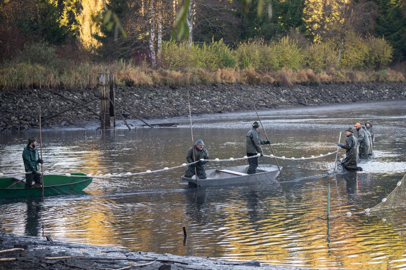 Plánička -výlov 08