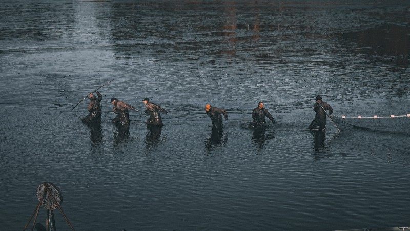 Plánička -výlov 02