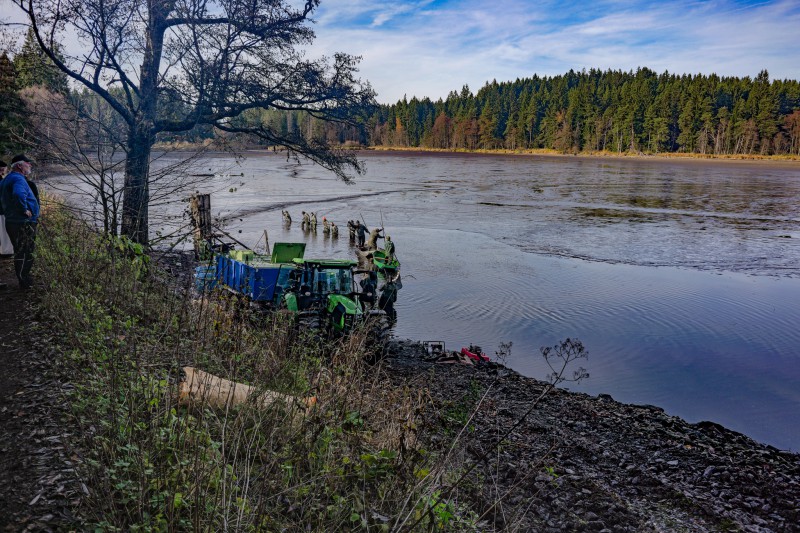 Plánička -výlov 03