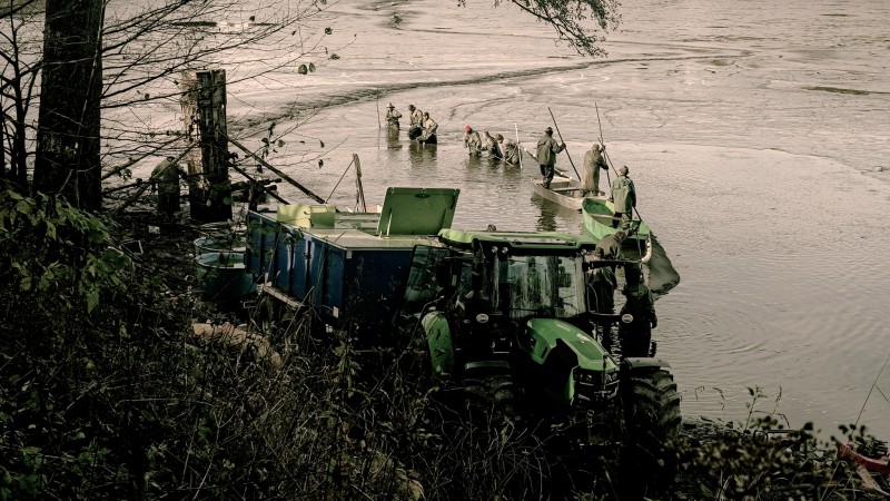 Plánička -výlov 04