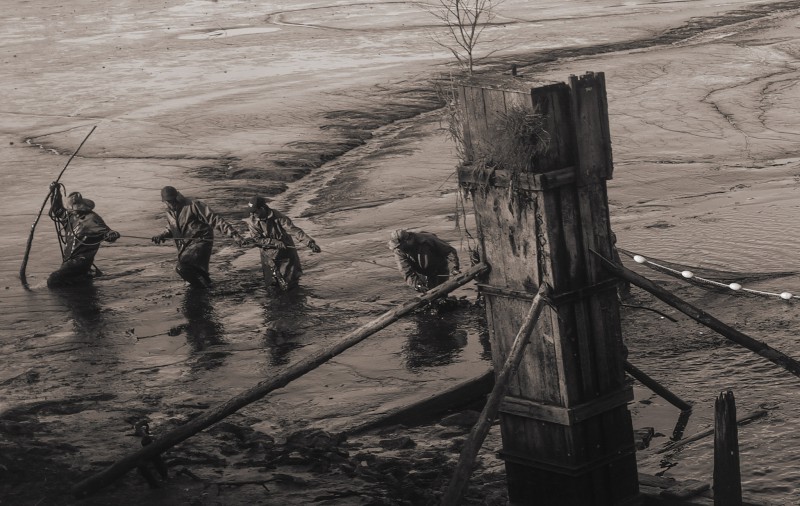 Plánička -výlov 05