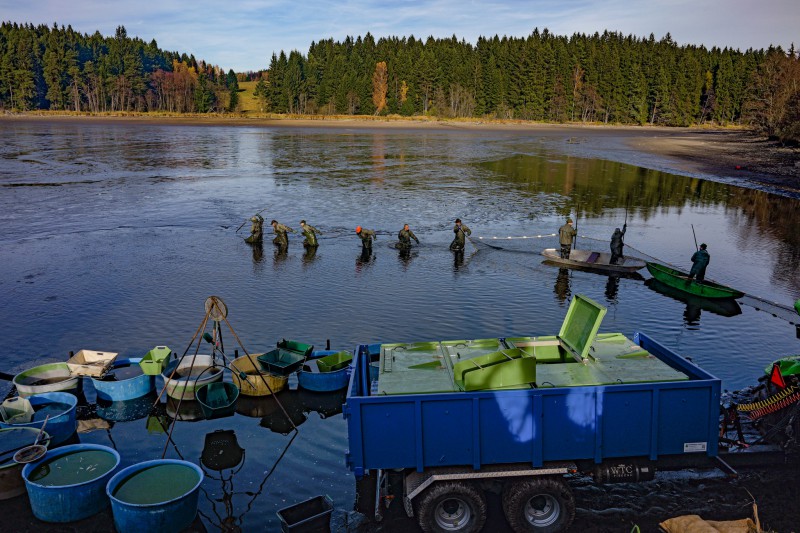 Plánička -výlov 07